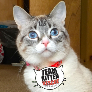 Fundraising Page: Evelyn & Waverly McTinybeans